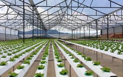 Bộ Xây dựng góp ý Đề án thành lập Khu nông nghiệp ứng dụng công nghệ cao Quảng Ninh