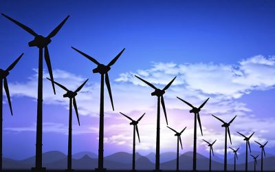 Cà Mau khởi công xây dựng nhà máy điện gió trị giá gần 3.000 tỉ đồng
