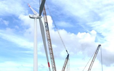 Trà Vinh có 5 dự án điện gió chuẩn bị hòa lưới điện Quốc gia