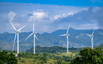 28 nhà máy điện gió kịp vận hành để hưởng giá FIT
