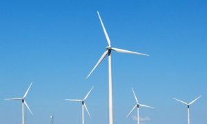 Vietnam says no extension of price offer for wind power developers