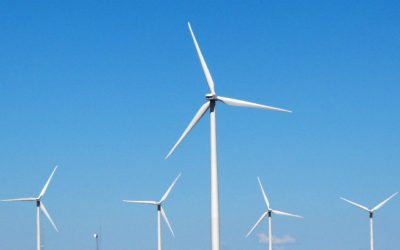 Vietnam says no extension of price offer for wind power developers