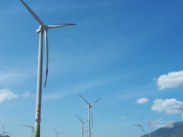 Điện gió phát triển mạnh nhờ chính sách khuyến khích về giá