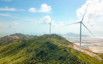 Nhà đầu tư điện gió ‘kêu cứu’ Thủ tướng vì nguy cơ phá sản do… chờ cơ chế