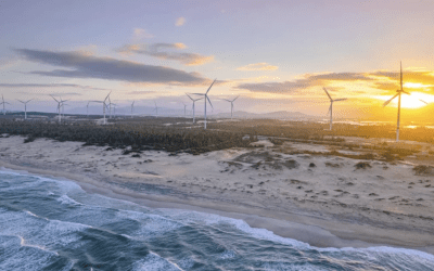 Bình Định đề xuất đầu tư dự án điện gió ngoài khơi 6 tỷ USD