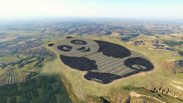 Trang trại năng lượng mặt trời gấu trúc ở Trung Quốc