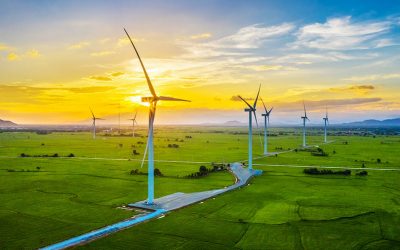 How Can Investors Seize Vietnam’s Wind Power Potential