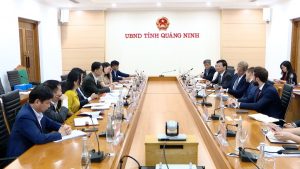 Tập đoàn Dầu khí BP đề xuất dự án điện gió ngoài khơi Quảng Ninh