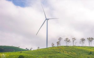 Lâm Đồng phê duyệt 2 dự án điện gió với tổng vốn đầu tư gần 4.400 tỷ đồng