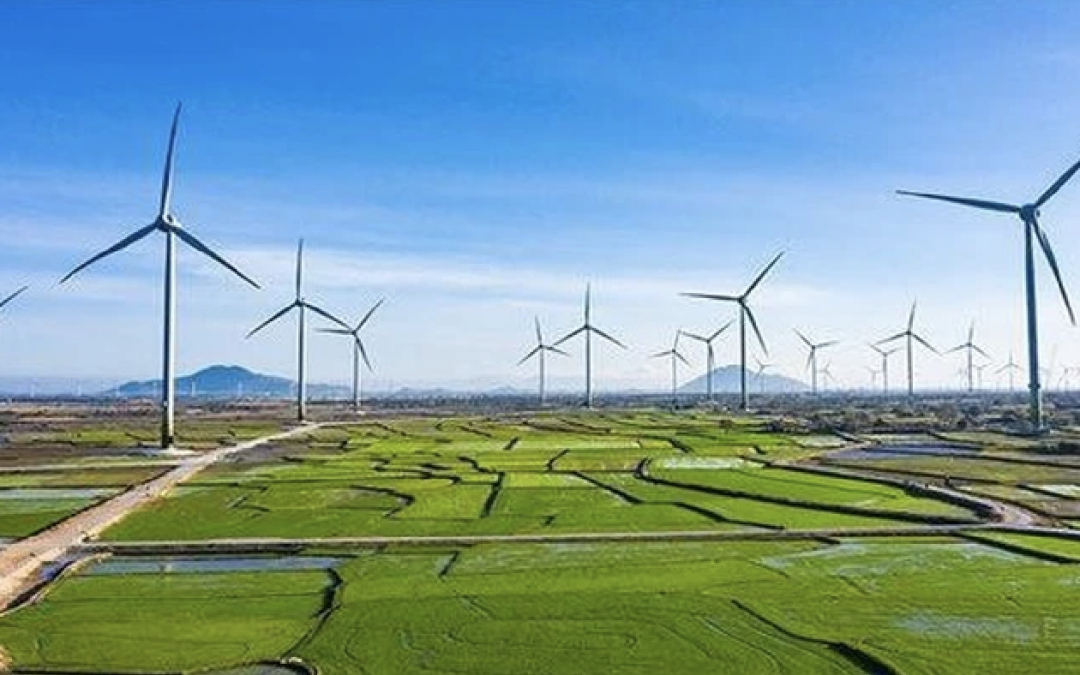 Top 3 công ty sản xuất điện gió nhiều nhất ở Việt Nam hiện nay là những ai?