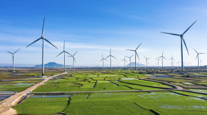 Điện gió Việt Nam đã đạt mốc kỷ lục về vận hành với 3.386 MW