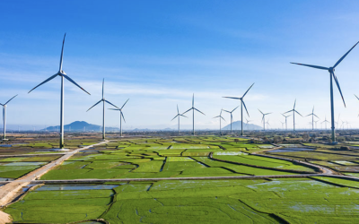 Điện gió Việt Nam đã đạt mốc kỷ lục về vận hành với 3.386 MW