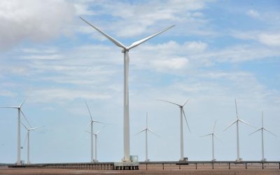 Bạc Liêu kiến nghị Bộ Công Thương điều chỉnh lại giá điện gió, điện mặt trời