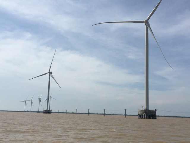 Bến Tre phấn đấu đưa 377 MW điện gió vào khai thác