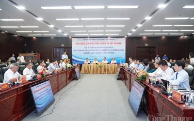 Việt Nam có bước phát triển vượt bậc về năng lượng tái tạo